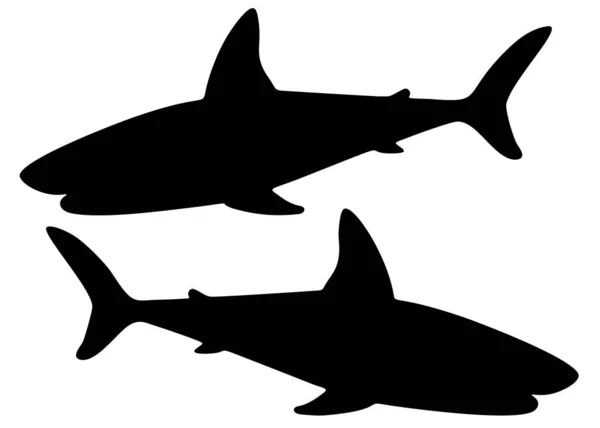 Tubarões Selvagens Perigosos Imagem Vetorial — Vetor de Stock