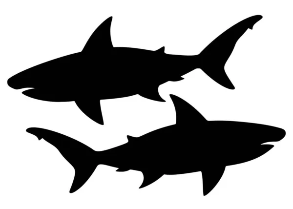 Tubarões Grandes Predadores Imagem Vetorial — Vetor de Stock