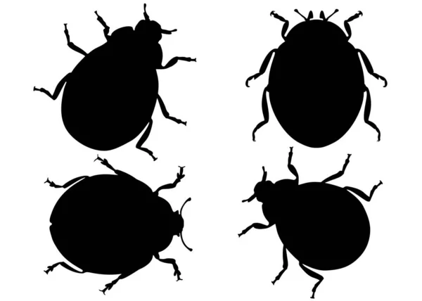 Kumbang Kecil Set Citra Vektor - Stok Vektor