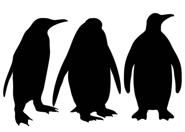 Pinguini Sul Set Immagine Vettoriale — Vettoriale Stock