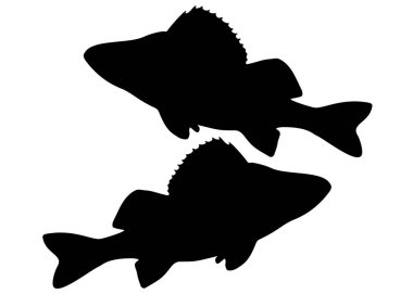 Büyük balıklar tünemiş. Vektör resmi.