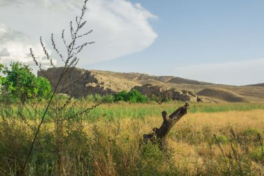 Doğa dağlar gökyüzü