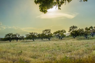 Doğa dağlar gökyüzü