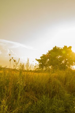Doğa dağlar gökyüzü
