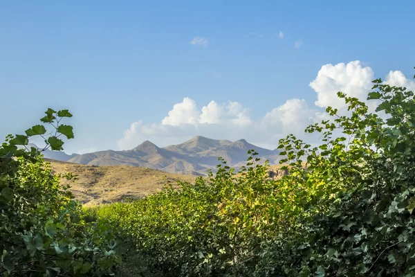 Doğa dağlar gökyüzü