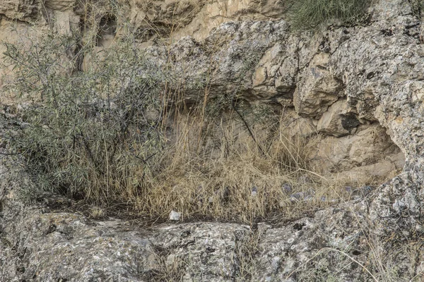 Doğa dağlar gökyüzü