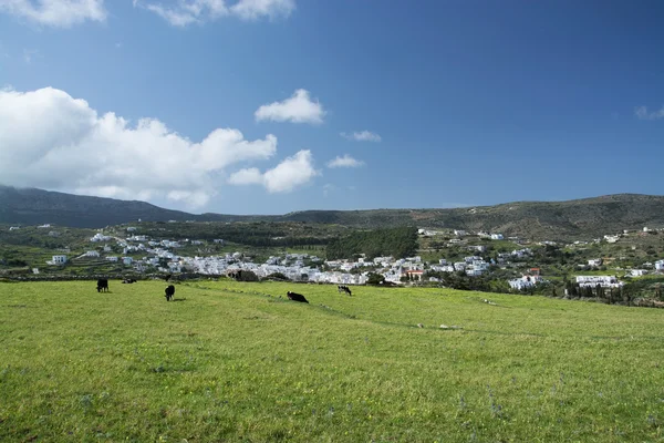 Lefkes, Paros, Görögország — Stock Fotó