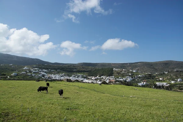 Lefkes, Paros, Görögország — Stock Fotó