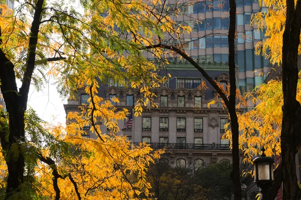 New York, Stati Uniti d'America — Foto Stock