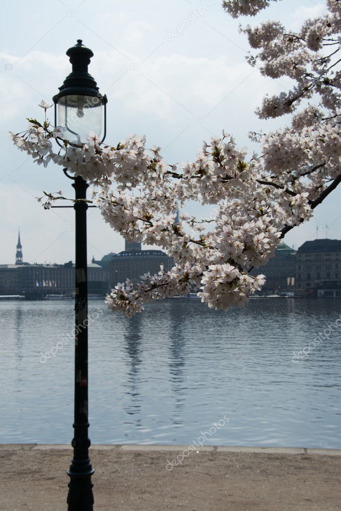 Spring at the Alster