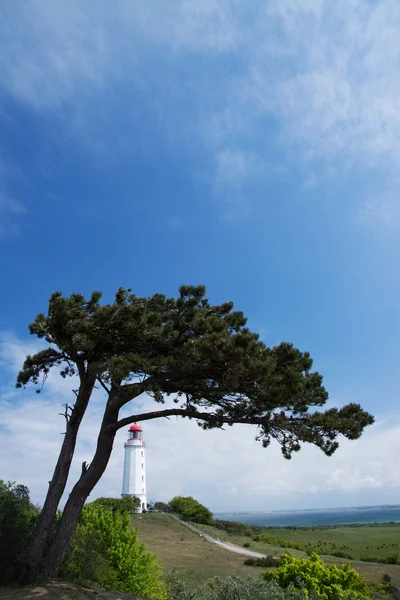 Leuchtturm Dornbusch auf Hiddensee — Stockfoto