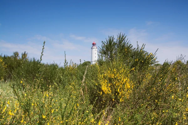 Lighthouse Dornbusch at Hiddensee — Stock Photo, Image