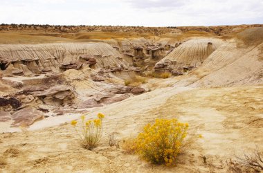 Ah-Shi-Sle-Pah vahşi çalışma alanı, New Mexico, ABD