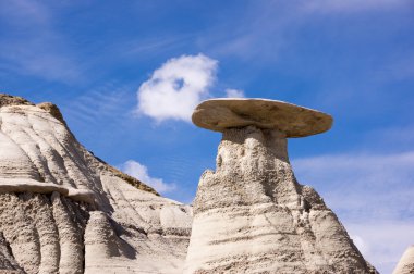 Ah-Shi-Sle-Pah vahşi çalışma alanı, New Mexico, ABD