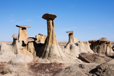 Ah-Shi-Sle-Pah vahşi çalışma alanı, New Mexico, ABD