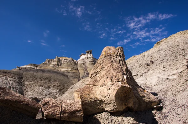 Ah-Shi-Sle-Pah Wilderness Study Area, New Mexico, USA — Stock Photo, Image