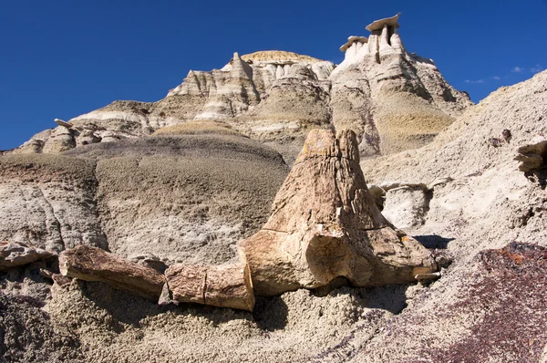 Ah-Shi-Sle-Pah Wilderness Study Area, New Mexico, USA — Stock Photo, Image