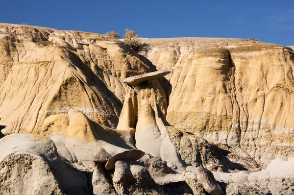 Ah-Shi-Sle-Pah Wilderness Study Área, Nuevo México, EE.UU. — Foto de Stock