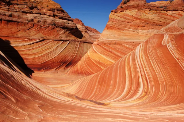 Dalga, Vermilion Uçurumları Ulusal Anıtı, Arizona, ABD