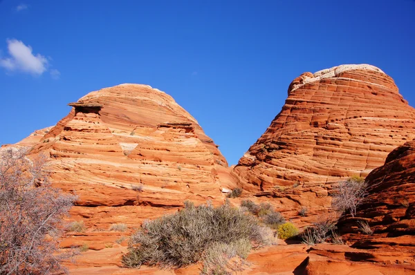 Die welle, zinnoberrote klippen nationales denkmal, arizona, usa — Stockfoto