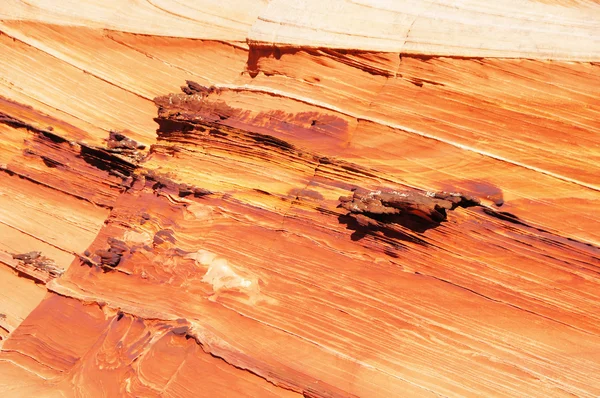 The Wave, monument national des falaises Vermilion, Arizona, États-Unis — Photo