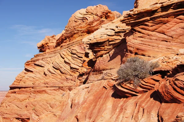 The Wave, Vermilion Cliffs National Monument, Arizona, USA — Stock Photo, Image