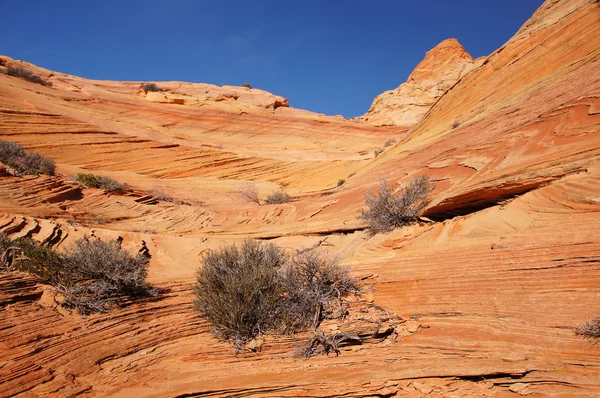 The Wave, Vermilion Cliffs National Monument, Arizona, Stati Uniti d'America — Foto Stock