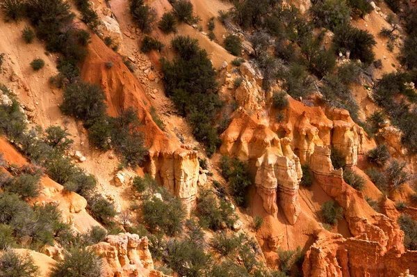 Bryce canyon, utah, Amerikai Egyesült Államok — Stock Fotó