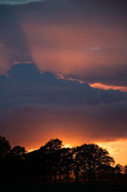 Rügen, Almanya Sunsat