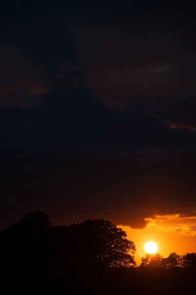 Sonnensitz auf rügen, deutschland — Stockfoto