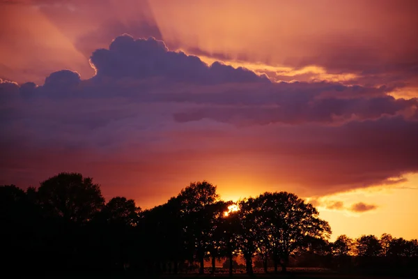 Sunsat at Ruegen, Germany — Stock Photo, Image