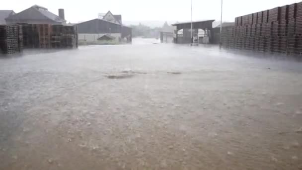 7 월 독일에 있는 뇌우 동안 폭우 — 비디오