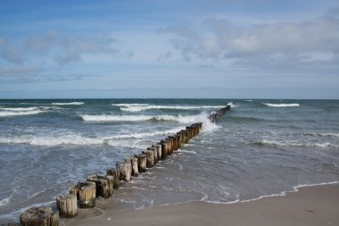 Groyne Zingst, Darss, Almanya