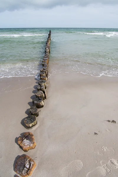 Groyne σε Zingst, Darss, Γερμανία — Φωτογραφία Αρχείου