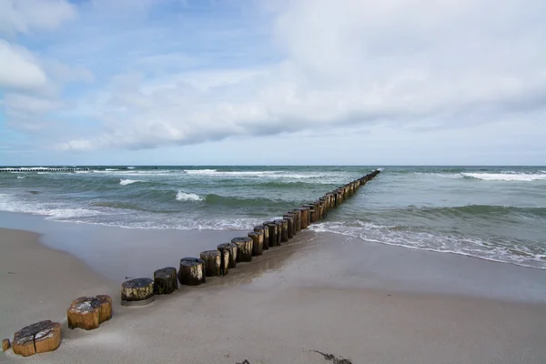 Groyne σε Zingst, Darss, Γερμανία — Φωτογραφία Αρχείου