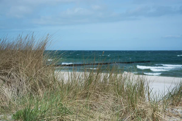 Groynu v Zingst, Darss, Německo — Stock fotografie