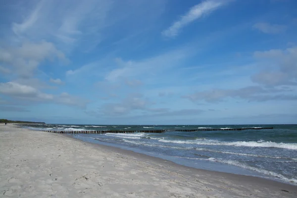 丁坝在 Zingst，达尔斯半岛，德国 — 图库照片