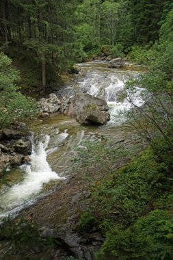 Fallbach su Güz, Carinthia, Avusturya