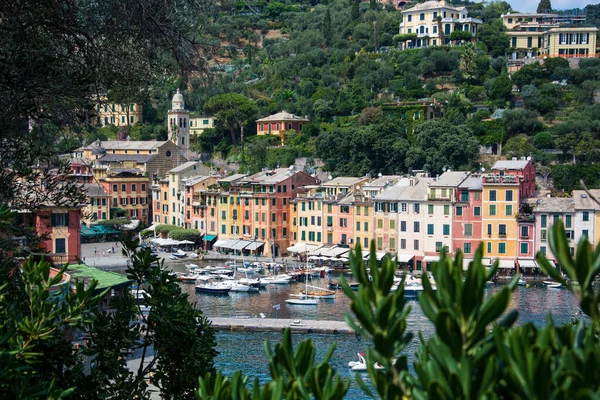 Liguria Daki Portofino Talyan Balıkçı Köyü Tatil Beldesi Ünlü Sanatsal — Stok fotoğraf