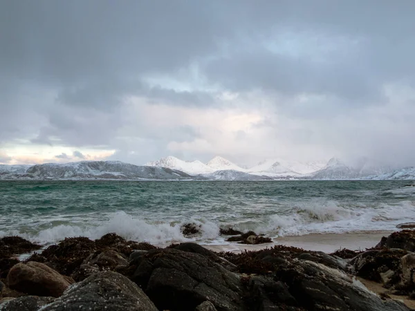 Paysage Hivernal Près Sommaroya Sur Île Kvaloya Norvège — Photo