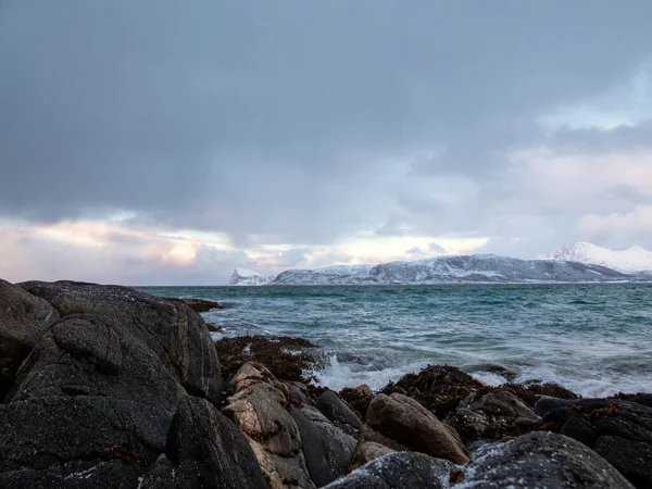 Paysage Hivernal Près Sommaroya Sur Île Kvaloya Norvège — Photo