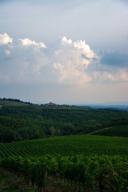 Toskana İtalya 'nın orta kesiminde bir bölgedir ve manzaraları, tarihi, sanatsal mirası ve yüksek kültür üzerindeki etkisiyle tanınır.. 