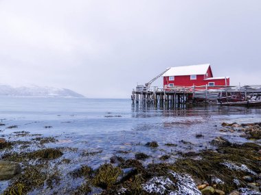 Troms og Finnmark, Norveç 'in kuzeyinde 1 Ocak 2020 tarihinde kurulmuş bir ilçe..