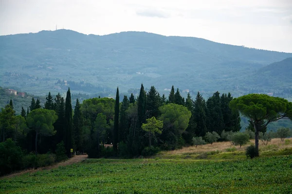 Toscana Una Región Centro Italia Conocida Por Sus Paisajes Historia —  Fotos de Stock