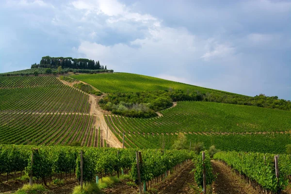 Tuscany Region Central Italy Known Its Landscapes History Artistic Legacy — Stock Photo, Image