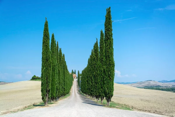 Toscana Una Región Centro Italia Conocida Por Sus Paisajes Historia —  Fotos de Stock