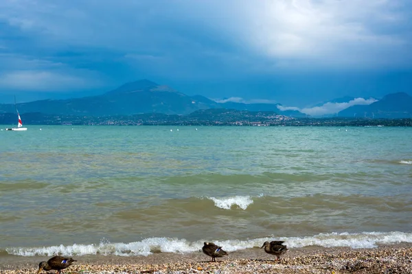 Danau Garda Lago Garda Italia Lombardy Italia Adalah Danau Terbesar — Stok Foto