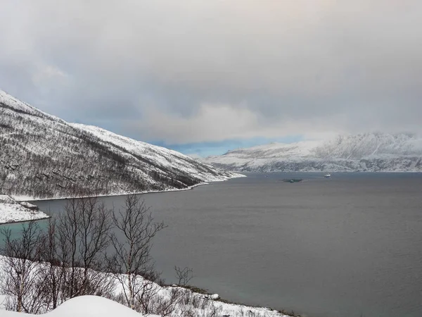 Krajina Zimě Ostrově Kvaloya Norsku — Stock fotografie