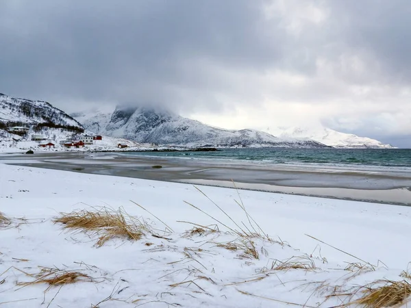 Lansekap Musim Dingin Pulau Kvaloya Norwegia — Stok Foto