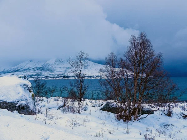 Landschap Winter Het Eiland Kvaloya Noorwegen — Stockfoto